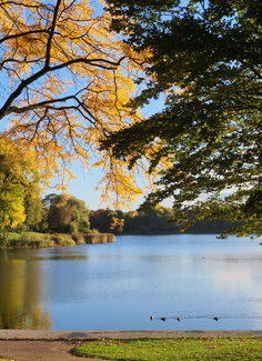 Natuur