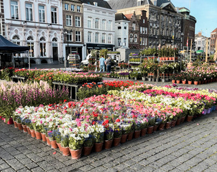 Geraniummarkt