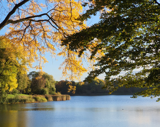 Natuur