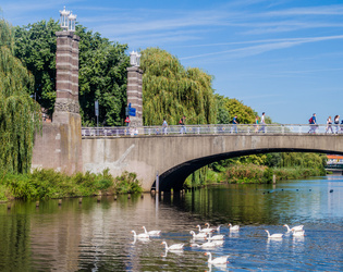 Vissen in Den Bosch - image