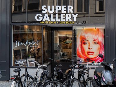 Super Gallery - image