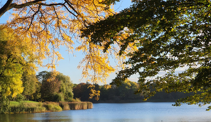 Natuur