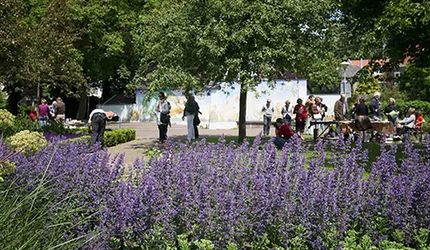 Jeroen Bosch Tuin - image