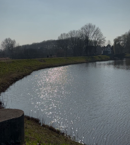 Bossche Broek