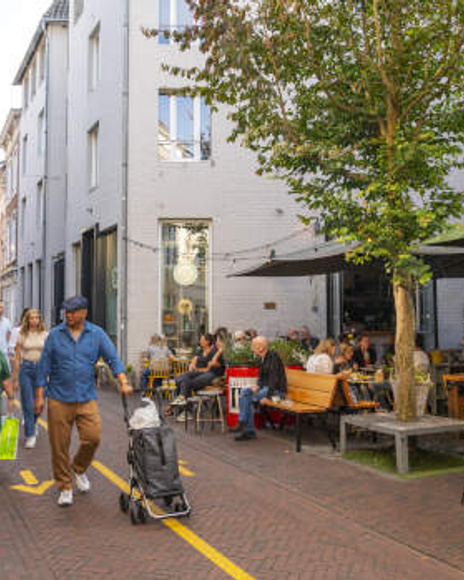Snellestraat Den Bosch