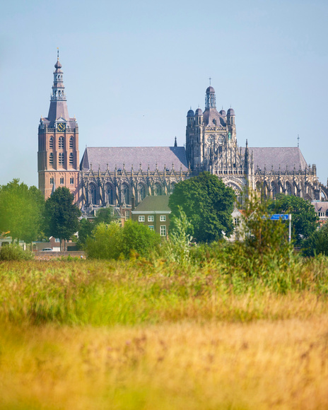 sintjan