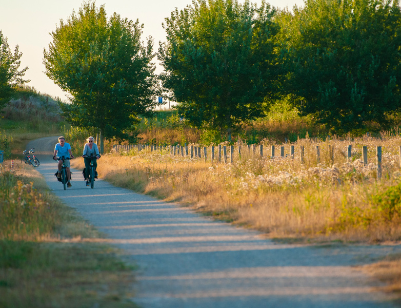 natuur