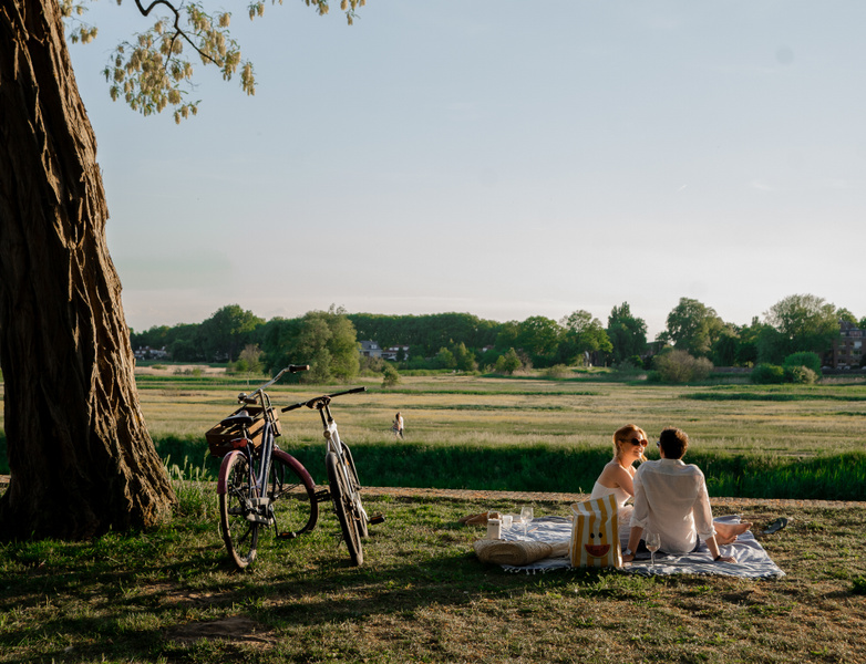 Den Bosch zomer picknick stadspark
