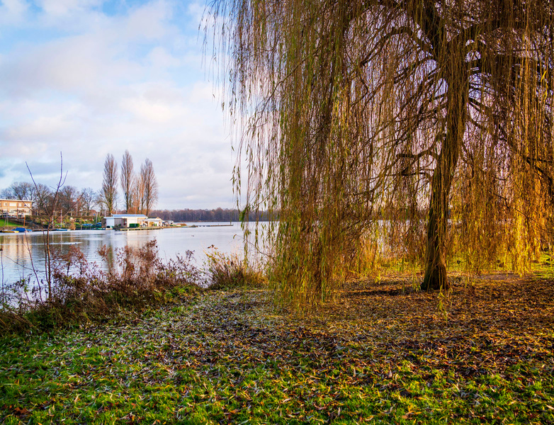 De Oosterplas - image