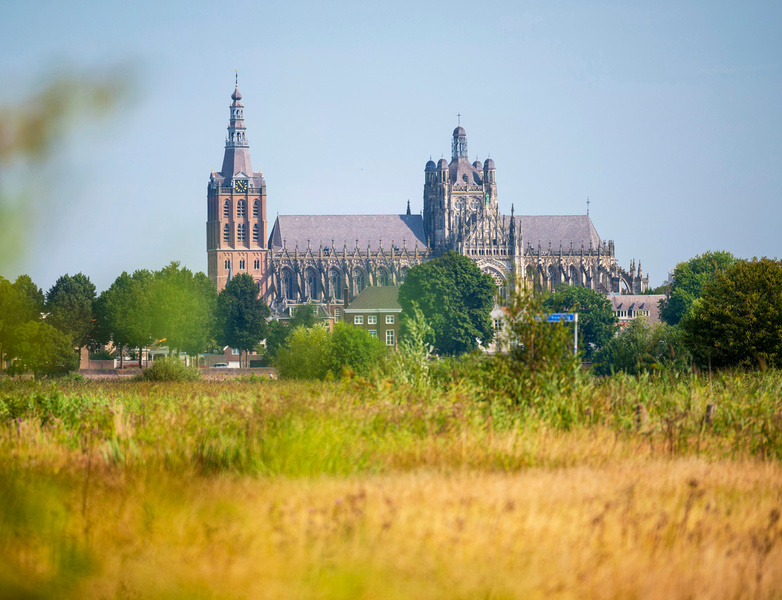 sintjan