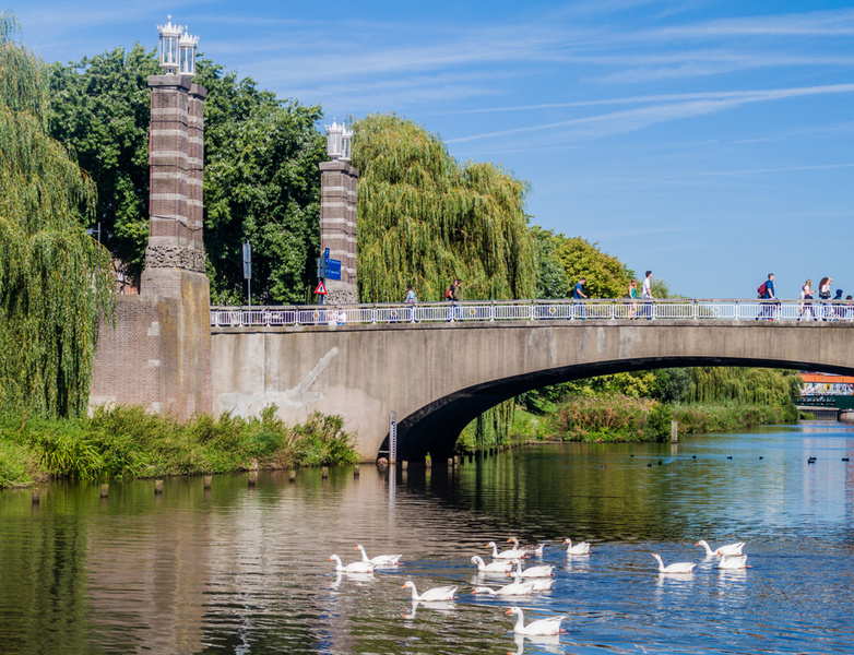 Vissen in Den Bosch - image